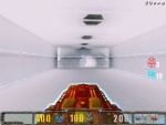 Doom invul, first-person view.